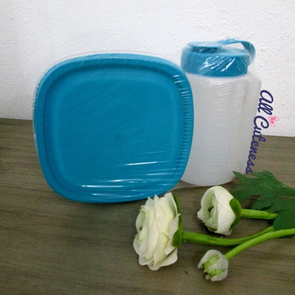 🎀 Plastic Lunch Containers Set